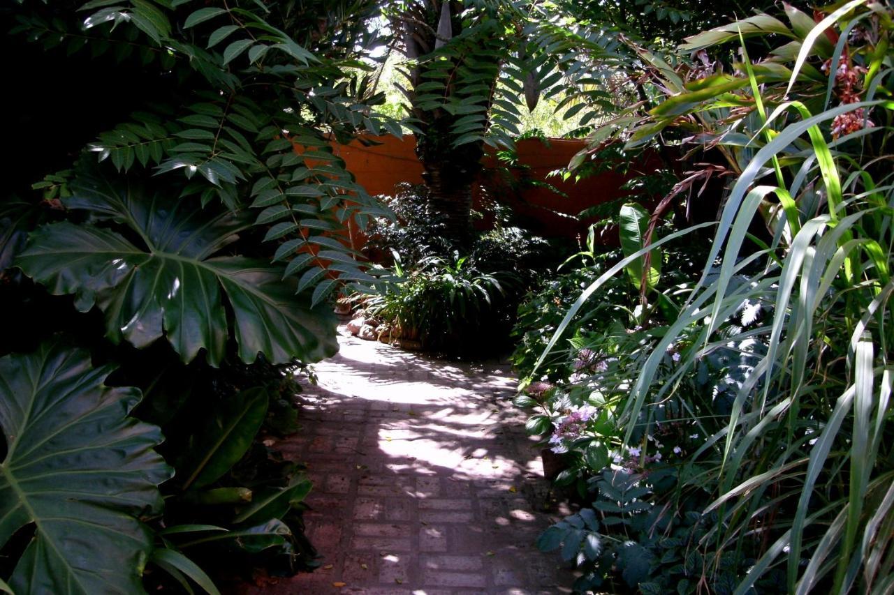 Hostel La Cruz Del Sur La Paloma Exteriör bild